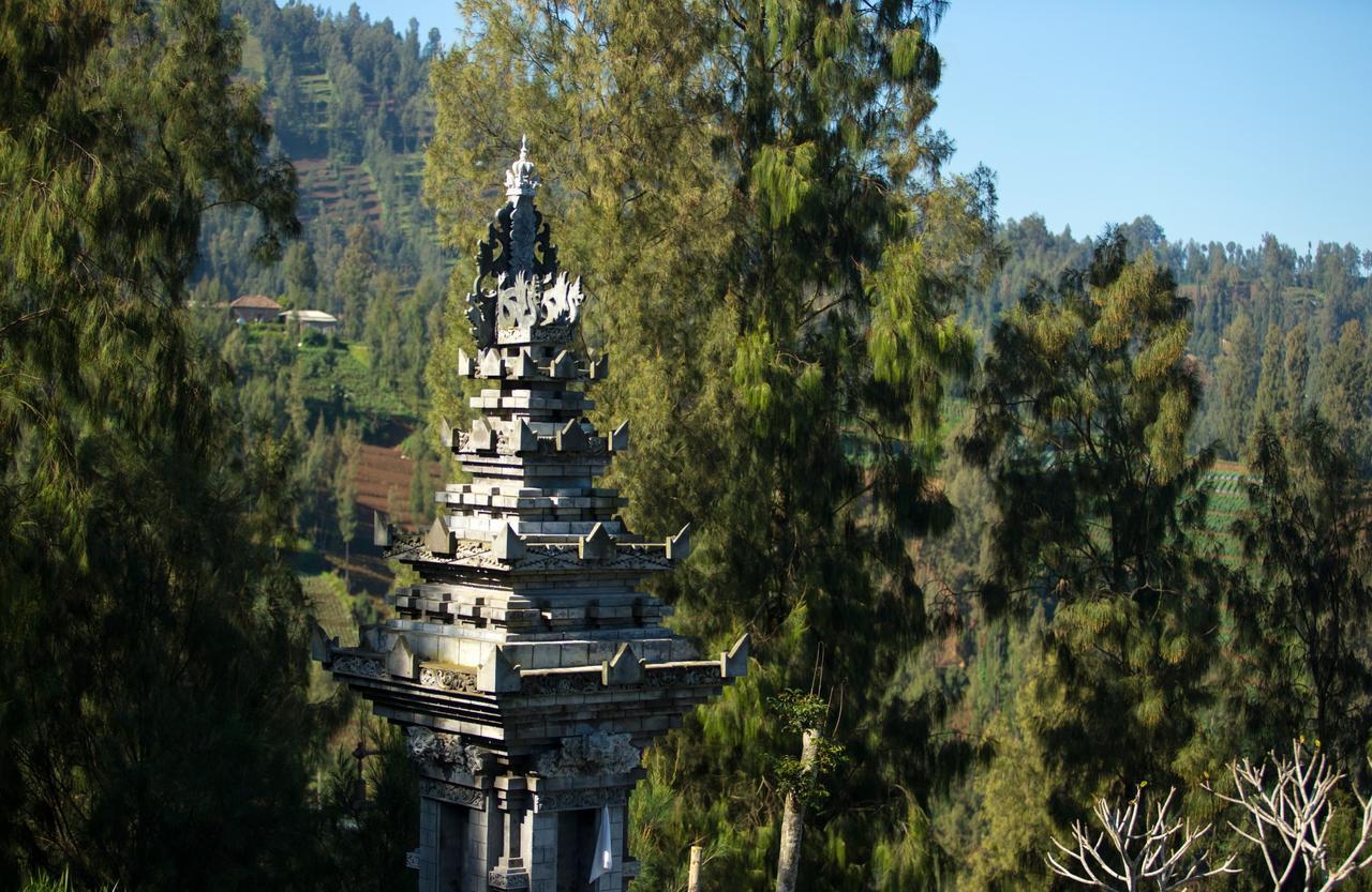 Hotel Plataran Bromo à Ngadiwano Extérieur photo